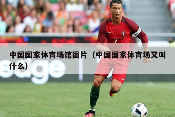 中国国家体育场馆图片（中国国家体育场又叫什么）