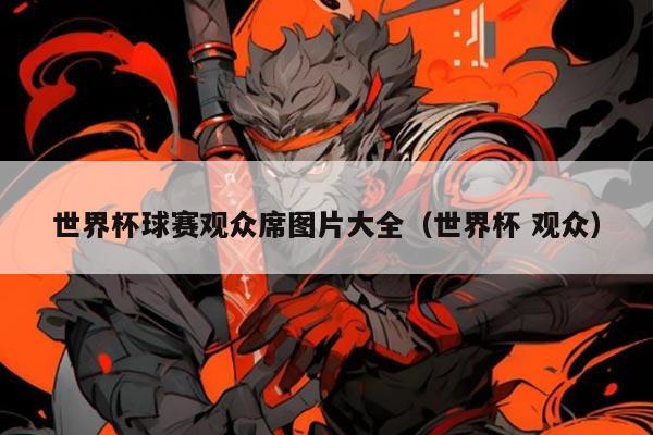 世界杯球赛观众席图片大全（世界杯 观众）