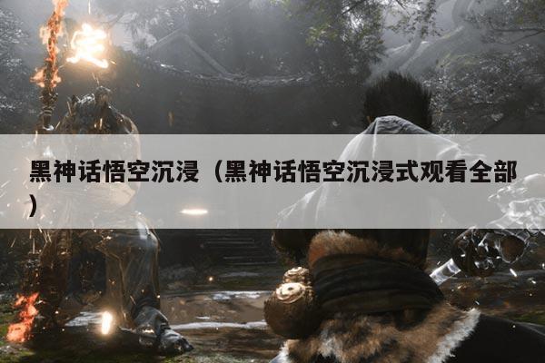 黑神话悟空沉浸（黑神话悟空沉浸式观看全部）