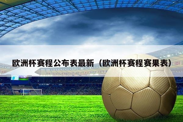 欧洲杯赛程公布表最新（欧洲杯赛程赛果表）