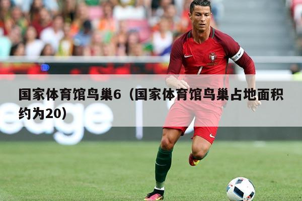 国家体育馆鸟巢6（国家体育馆鸟巢占地面积约为20）
