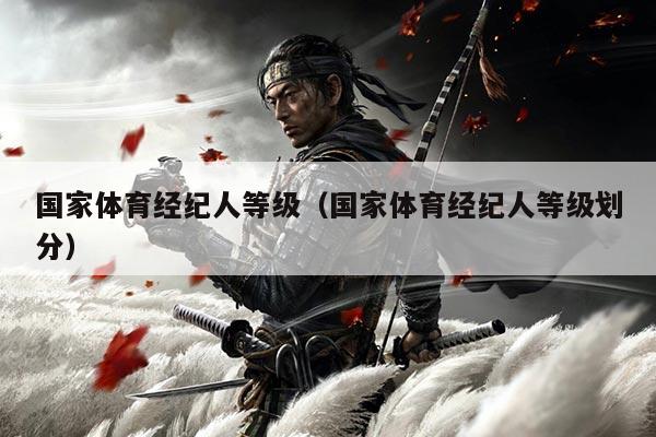 国家体育经纪人等级（国家体育经纪人等级划分）