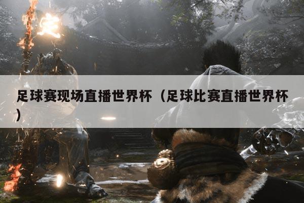 足球赛现场直播世界杯(足球比赛直播世界杯)
