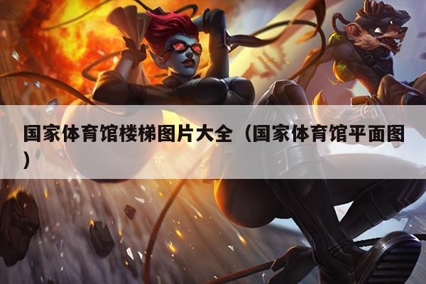 国家体育馆楼梯图片大全(国家体育馆平面图)