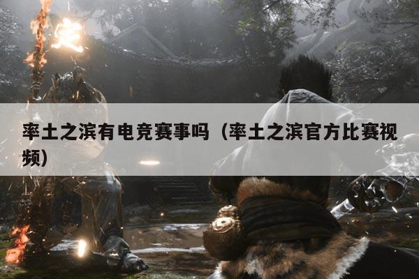 率土之滨有电竞赛事吗(率土之滨官方比赛视频)