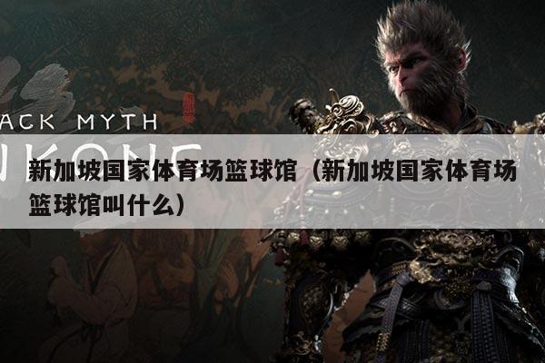 新加坡国家体育场篮球馆(新加坡国家体育场篮球馆叫什么)