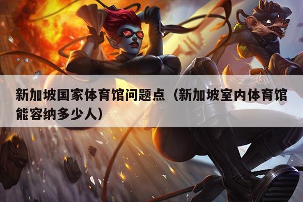 新加坡国家体育馆问题点（新加坡室内体育馆能容纳多少人）