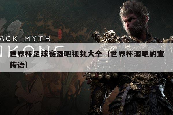 世界杯足球赛酒吧视频大全（世界杯酒吧的宣传语）