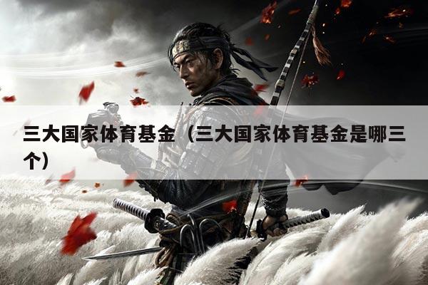 三大国家体育基金（三大国家体育基金是哪三个）