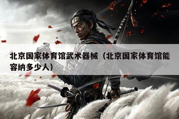 北京国家体育馆武术器械（北京国家体育馆能容纳多少人）
