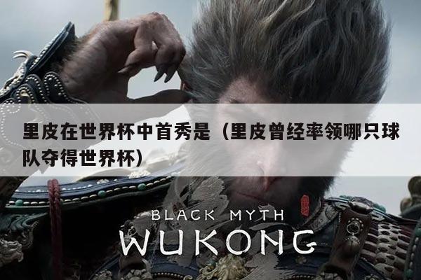 里皮在世界杯中首秀是(里皮曾经率领哪只球队夺得世界杯)